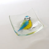 Blue tit trinket dish