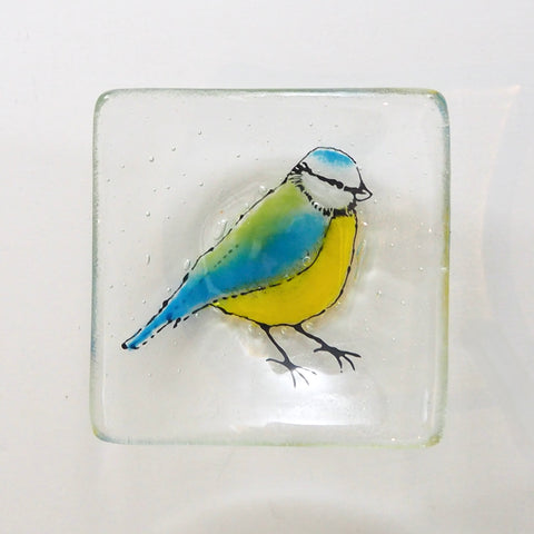 Fused glass trinket dish, handmade, blue tit design on clear glass, jewellery or soap dish.